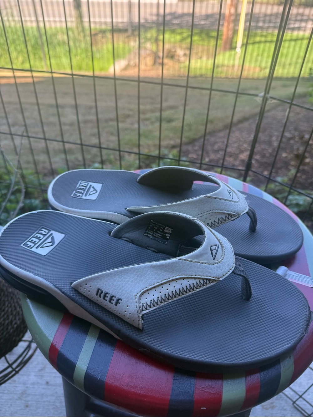 Men's Flip-Flops